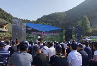 2019中國農(nóng)民豐收節(jié)-刺葡萄生態(tài)文化旅游節(jié)產(chǎn)銷對接會(huì)