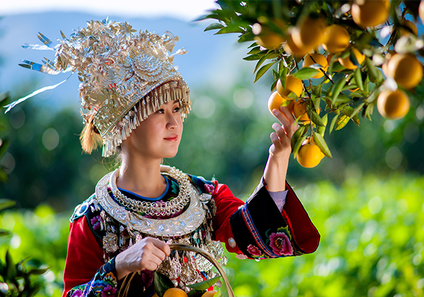 富硒冰糖橙香飄長(zhǎng)沙 愛心消費(fèi)助麻陽果農(nóng)脫貧增收