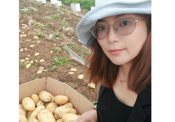 一個(gè)月銷售500噸，惠農(nóng)代賣幫助新手夫婦將土豆賣向全國(guó)
