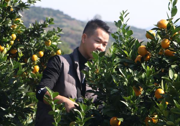 惠農(nóng)網(wǎng)電商學(xué)員滕華：為夢(mèng)歸鄉(xiāng) 小縣城也有大舞臺(tái)