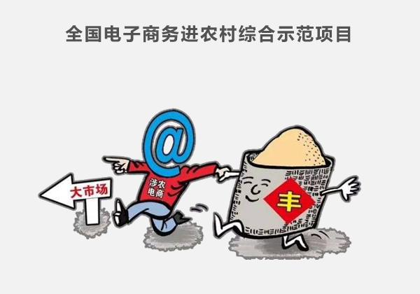 全國電子商務(wù)進(jìn)農(nóng)村綜合示范項目