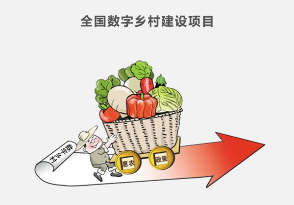 全國數(shù)字鄉(xiāng)村建設(shè)項目