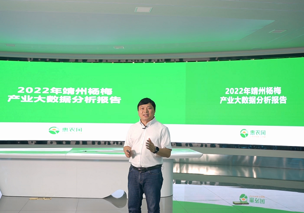 惠農(nóng)大數(shù)據(jù)：靖州楊梅走“紅”消費(fèi)市場(chǎng) 后市行情看漲