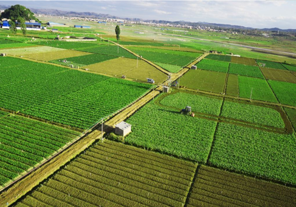 農(nóng)業(yè)農(nóng)村部辦公廳關(guān)于開(kāi)展2022年全國(guó)休閑農(nóng)業(yè)重點(diǎn)縣申報(bào)和監(jiān)測(cè)工作的通知