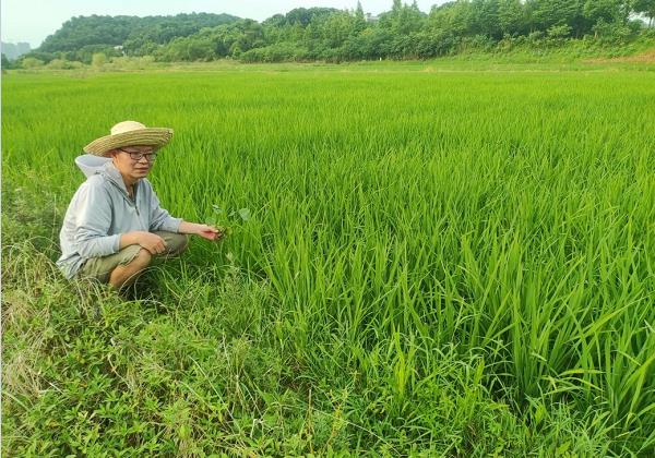 年入200余萬(wàn)元,！看80后IT高管如何靠惠農(nóng)網(wǎng)跨界生財(cái)