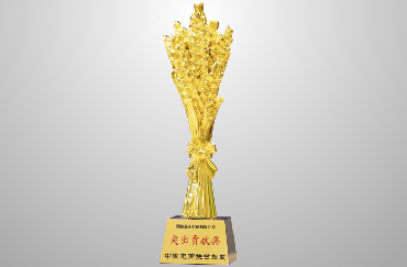 榮獲商務(wù)部中國電商扶貧聯(lián)盟“2019年突出貢獻(xiàn)獎”.jpg