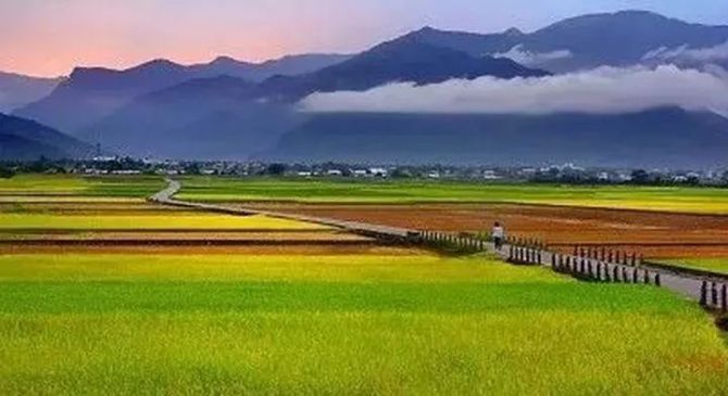 2024年農業(yè)產業(yè)融合發(fā)展項目立項名單公示公告