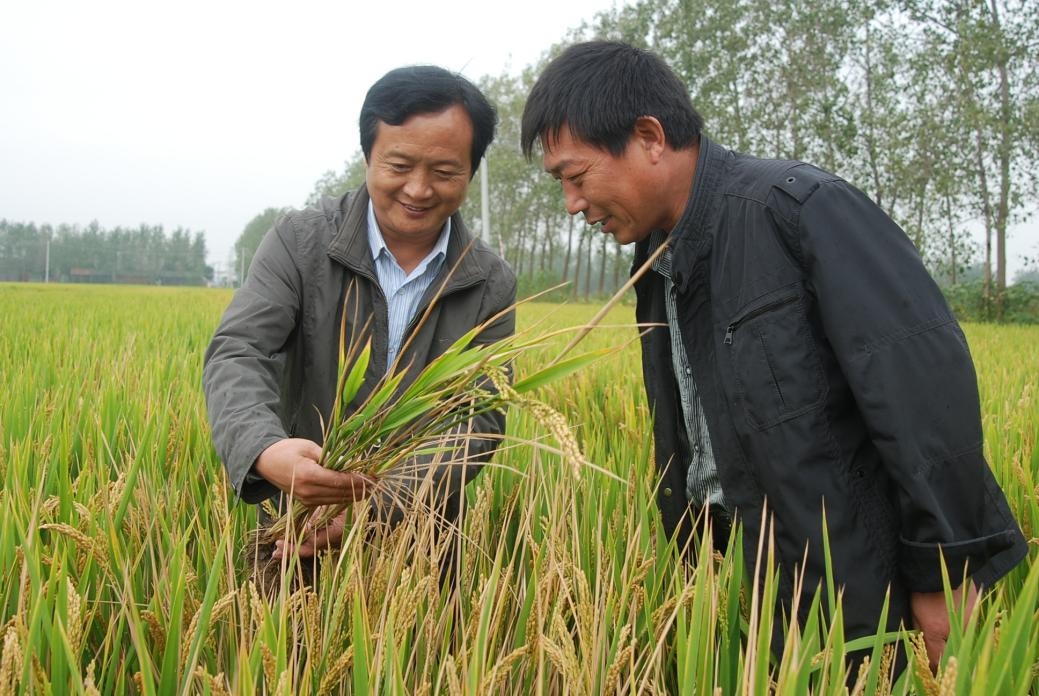 惠農(nóng)網(wǎng)農(nóng)技專家姚友華：云端送技術(shù),，做農(nóng)民朋友的貼心人