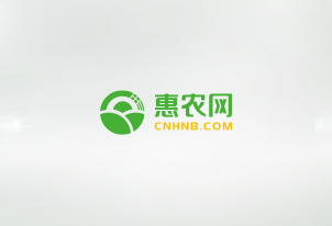 武岡市商務(wù)局局長(zhǎng)喬梁一行到惠農(nóng)網(wǎng)走訪(fǎng)，探討縣域電商產(chǎn)業(yè)發(fā)展,、農(nóng)旅融合以及后續(xù)合作方向